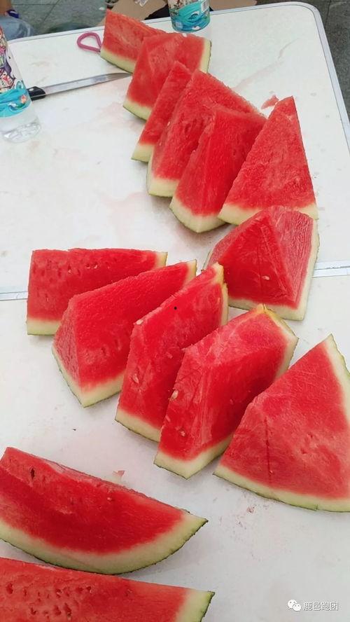 今日吃瓜每日大赛