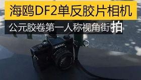 91国产a,引领潮流的国产创新力量