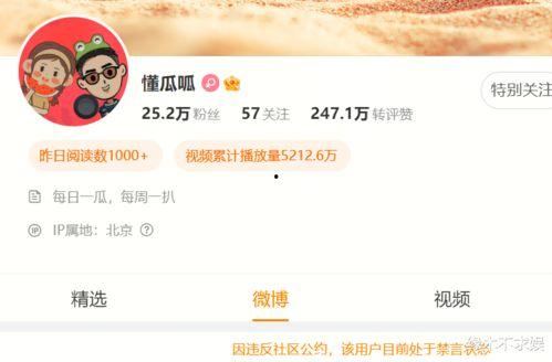 400部国产精品,映照时代光影，传承文化瑰宝