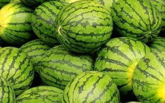 每日大赛 吃瓜入口